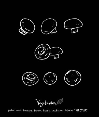 Sebze ve meyve resimler / el çekilmiş gıda maddeleri - vektör