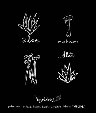 Sebze ve meyve resimler / el çekilmiş gıda maddeleri - vektör