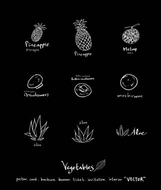 Sebze ve meyve resimler / el çekilmiş gıda maddeleri - vektör