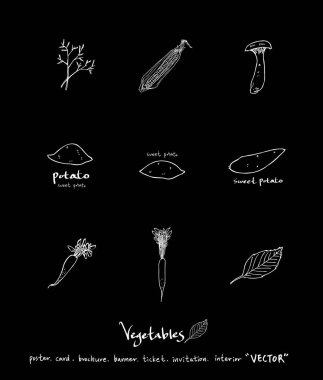 Sebze ve meyve resimler / el çekilmiş gıda maddeleri - vektör