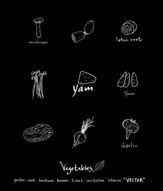 Sebze ve meyve resimler / el çekilmiş gıda maddeleri - vektör