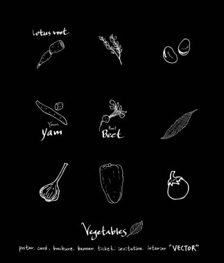Sebze ve meyve resimler / el çekilmiş gıda maddeleri - vektör