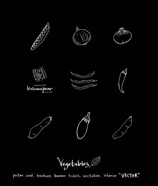 Sebze ve meyve resimler / el çekilmiş gıda maddeleri - vektör