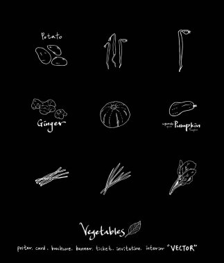 Sebze ve meyve resimler / el çekilmiş gıda maddeleri - vektör