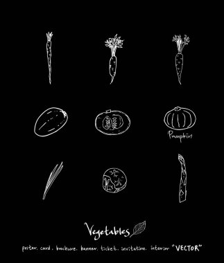 Sebze ve meyve resimler / el çekilmiş gıda maddeleri - vektör