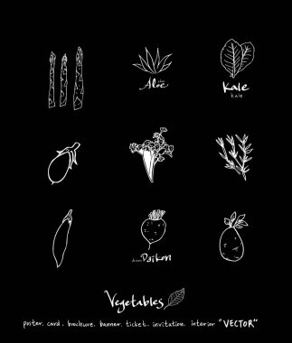 Sebze ve meyve resimler / el çekilmiş gıda maddeleri - vektör