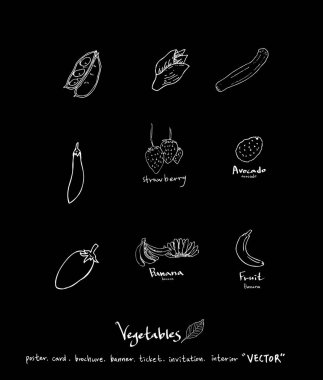 Sebze ve meyve resimler / el çekilmiş gıda maddeleri - vektör