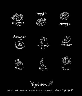 Sebze ve meyve resimler / el çekilmiş gıda maddeleri - vektör