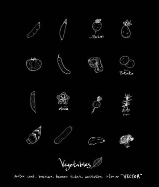 Sebze ve meyve resimler / el çekilmiş gıda maddeleri - vektör