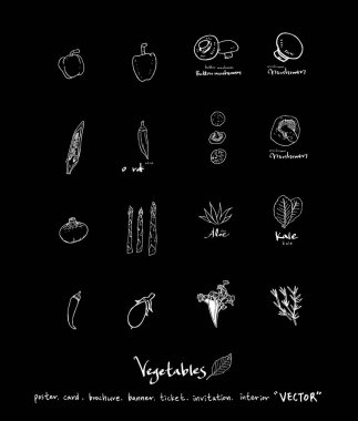 Sebze ve meyve resimler / el çekilmiş gıda maddeleri - vektör