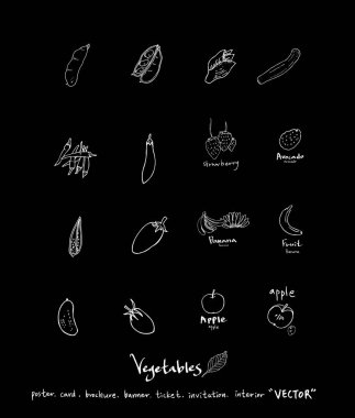 Sebze ve meyve resimler / el çekilmiş gıda maddeleri - vektör