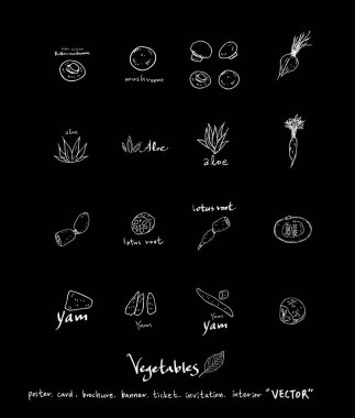 Sebze ve meyve resimler / el çekilmiş gıda maddeleri - vektör