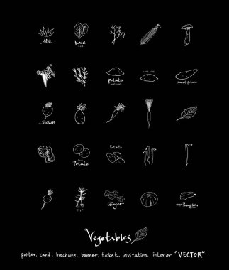 Sebze ve meyve resimler / el çekilmiş gıda maddeleri - vektör