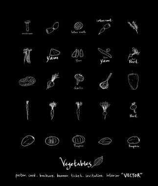 Sebze ve meyve resimler / el çekilmiş gıda maddeleri - vektör