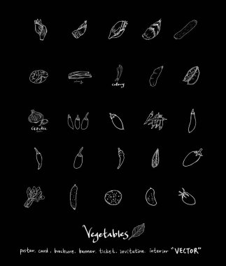 Sebze ve meyve resimler / el çekilmiş gıda maddeleri - vektör