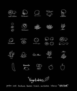 Sebze ve meyve resimler / el çekilmiş gıda maddeleri - vektör