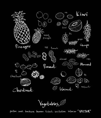 Sebze ve meyve resimler / el çekilmiş gıda maddeleri - vektör