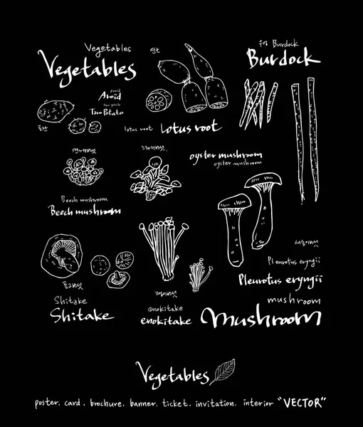 Ilustrações Legumes Frutas Ingredientes Alimentares Desenhados Mão Vector — Vetor de Stock