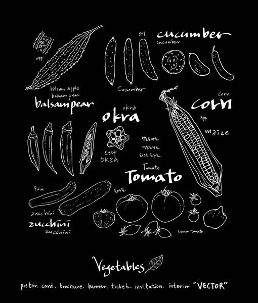 Ilustrações Legumes Frutas Ingredientes Alimentares Desenhados Mão Vector — Vetor de Stock