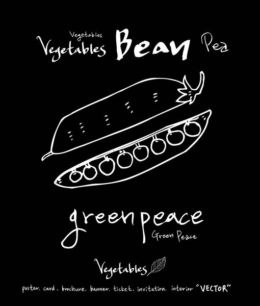 Овощные и фруктовые иллюстрации / Ингредиенты для рисования вручную - вектор
