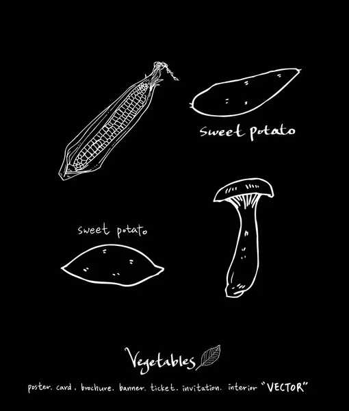 蔬菜和水果插图 手工绘制食品配料 — 图库矢量图片