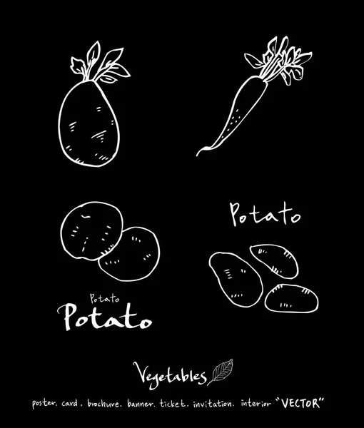 Groente Fruitsector Illustraties Hand Drawn Voedselingrediënten Vector — Stockvector