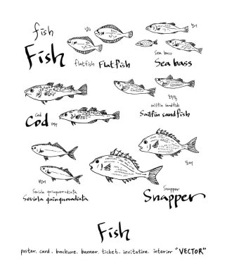 deniz gıda çizimler / el çekilmiş gıda maddeleri - vektör