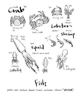 deniz gıda çizimler / el çekilmiş gıda maddeleri - vektör