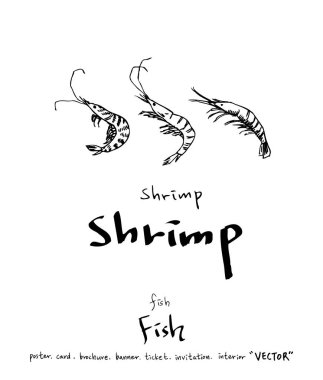 deniz gıda çizimler / el çekilmiş gıda maddeleri - vektör