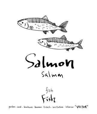 deniz gıda çizimler / el çekilmiş gıda maddeleri - vektör