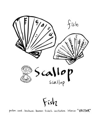 deniz gıda çizimler / el çekilmiş gıda maddeleri - vektör