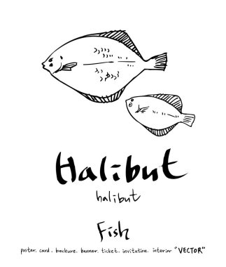 deniz gıda çizimler / el çekilmiş gıda maddeleri - vektör