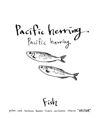 deniz gıda çizimler / el çekilmiş gıda maddeleri - vektör