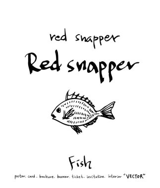 deniz gıda çizimler / el çekilmiş gıda maddeleri - vektör