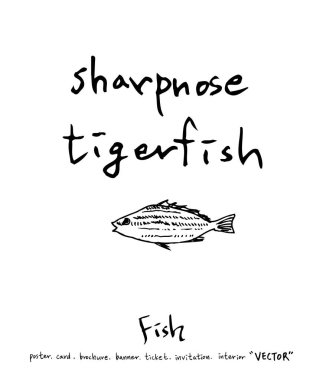 deniz gıda çizimler / el çekilmiş gıda maddeleri - vektör