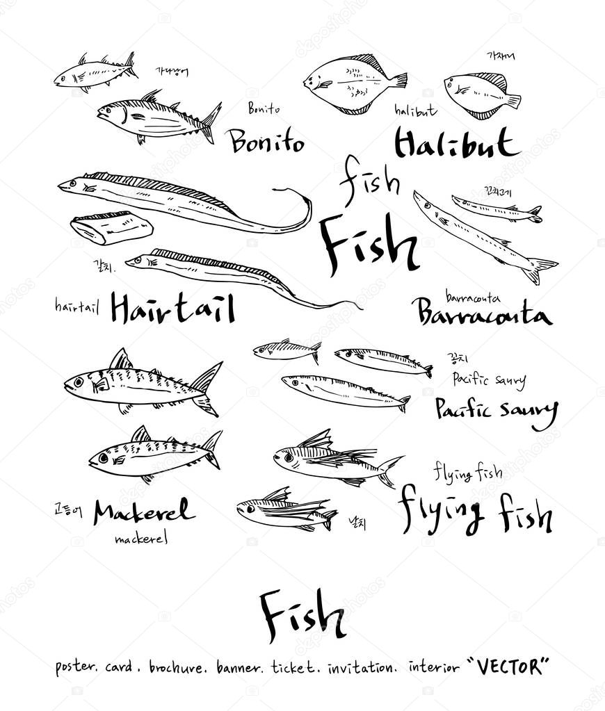 Sea food illustrations / Hand drawn food ingredients - vector