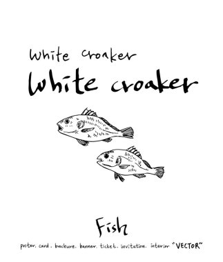 deniz gıda çizimler / el çekilmiş gıda maddeleri - vektör