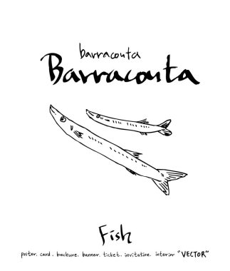 deniz gıda çizimler / el çekilmiş gıda maddeleri - vektör