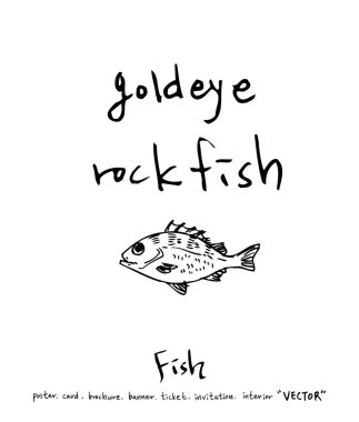 deniz gıda çizimler / el çekilmiş gıda maddeleri - vektör