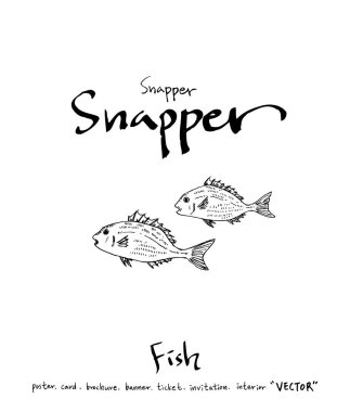 deniz gıda çizimler / el çekilmiş gıda maddeleri - vektör