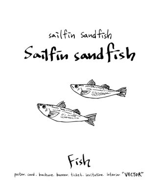 deniz gıda çizimler / el çekilmiş gıda maddeleri - vektör