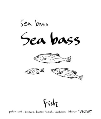 deniz gıda çizimler / el çekilmiş gıda maddeleri - vektör