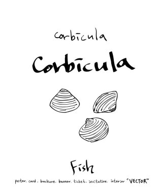 deniz gıda çizimler / el çekilmiş gıda maddeleri - vektör