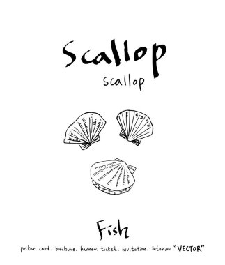 deniz gıda çizimler / el çekilmiş gıda maddeleri - vektör