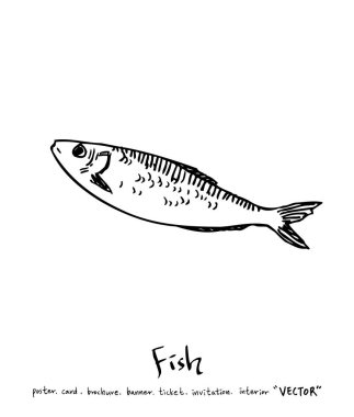 deniz gıda çizimler / el çekilmiş gıda maddeleri - vektör