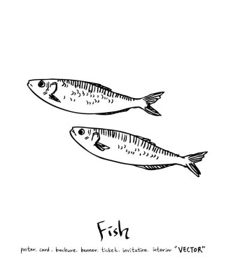 deniz gıda çizimler / el çekilmiş gıda maddeleri - vektör