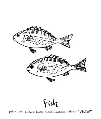 deniz gıda çizimler / el çekilmiş gıda maddeleri - vektör