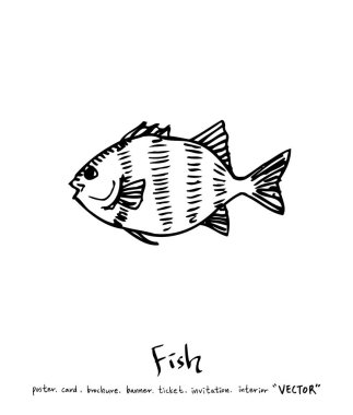 deniz gıda çizimler / el çekilmiş gıda maddeleri - vektör