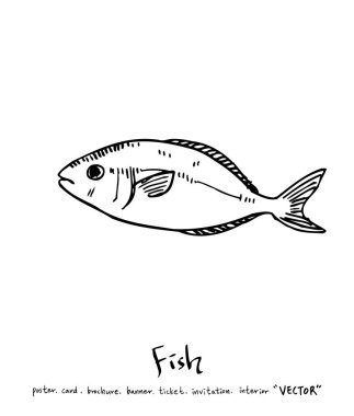 deniz gıda çizimler / el çekilmiş gıda maddeleri - vektör