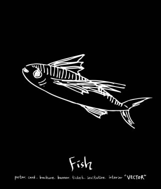 deniz gıda çizimler / el çekilmiş gıda maddeleri - vektör